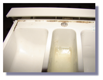 Bild eines verschimmelten Einspülkasten